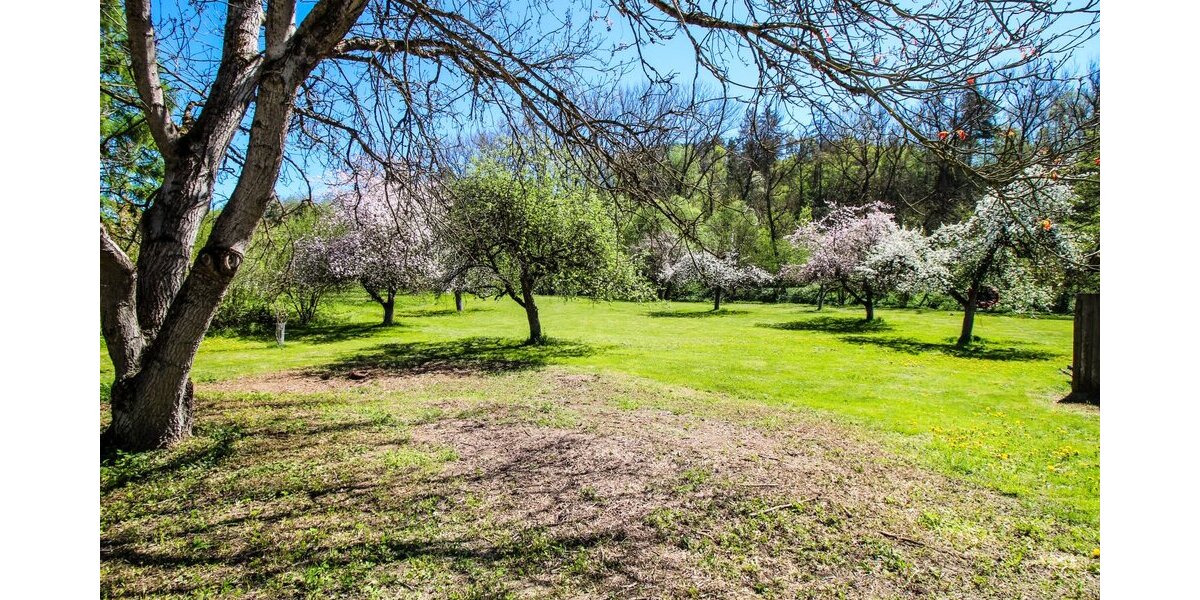 Parkähnlicher Garten mit etabliertem Baumbestand und großzügigen Freiflächen